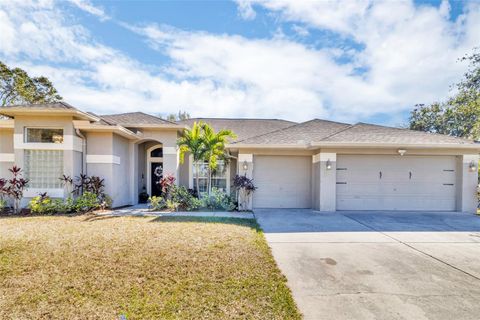 A home in RIVERVIEW