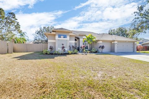 A home in RIVERVIEW