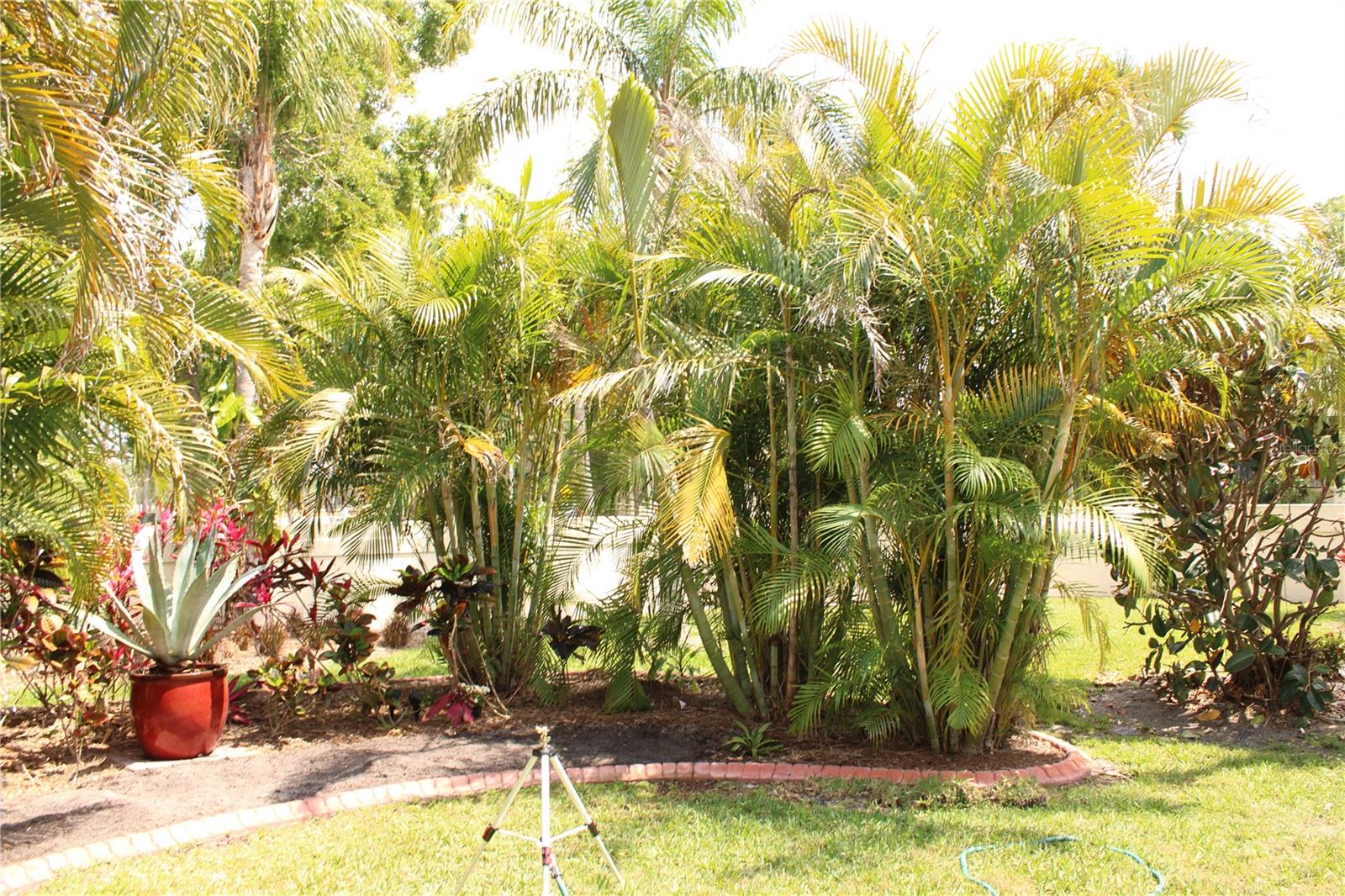 THE PRESERVES AT PALM-AIRE - Residential Lease