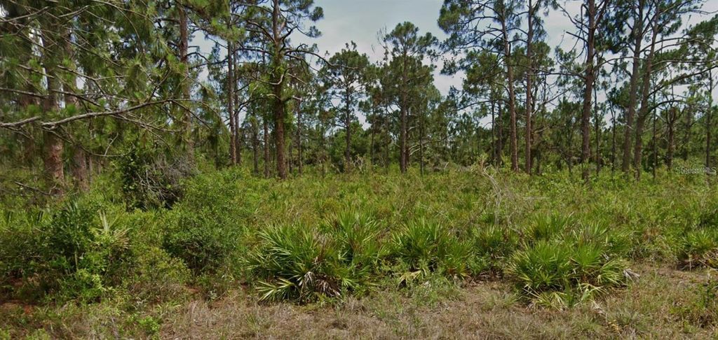 Photo of 13547 Lynbrook Avenue, Port Charlotte, FL 33953 (MLS # D6144176)