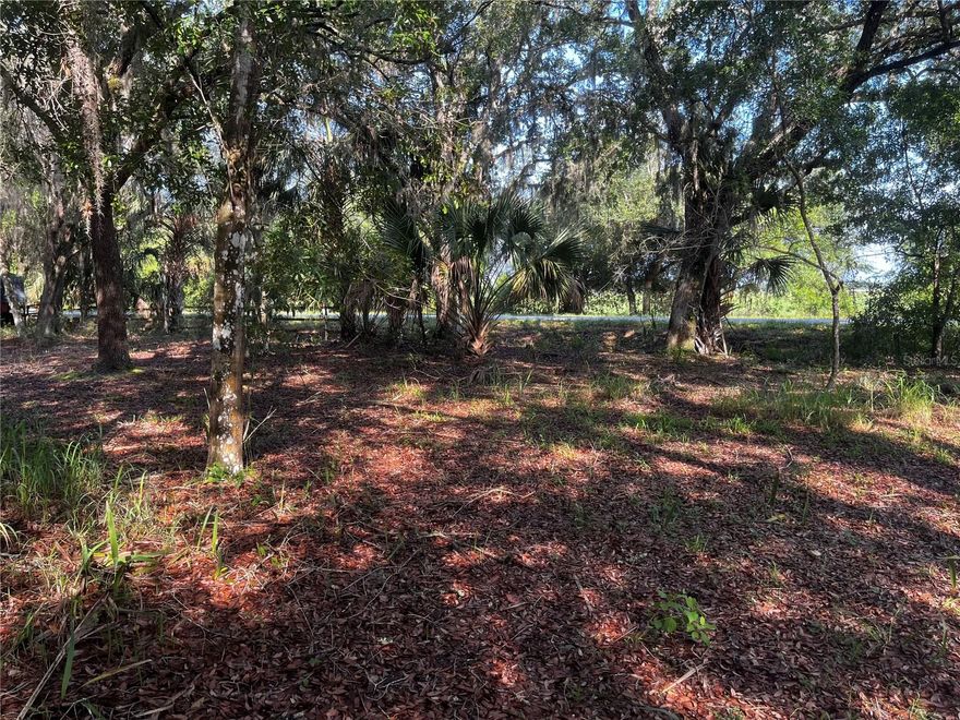 1.81 ACRES CLOSE TO CAMP MACK WITH OAK HAMMOCKS. This 1.81 acre vacant land is separated (all adjoining) into 3 parcels and is plotted for 7 individual lots (appox.25 acre each) or could be one large parcel. The property has no septic, water or electricity but all are very close. This property is located in a small quaint community on large tracts of land with mostly winter visitors or retired persons and is approximately 20 minutes from World famous 'Camp Mack River Resort" offering RV sites, cabin rentals, boat rentals, fishing, restaurant and bar. The home is around the corner from the Lake Rosalie canal boat ramp leading to Lake Rosalie, part of the Lake Kissimmee chain of lakes. Lake Rosalie is a large body of water with 4578 acres of some of the best bass and crappie fishing in Florida. Kissimmee State Park is about 6 miles down the road and offers camping, lots of wildlife and heritage cowboy demonstrations. This home would make anyone that desires a peaceful, private existence a dream home or a wonderful opportunity for someone that desires a vacation home with plenty of room for a family and wants to enjoy this beautiful area packed with outdoor activities including watersports, hunting, fishing, boat rides, air boating and more.