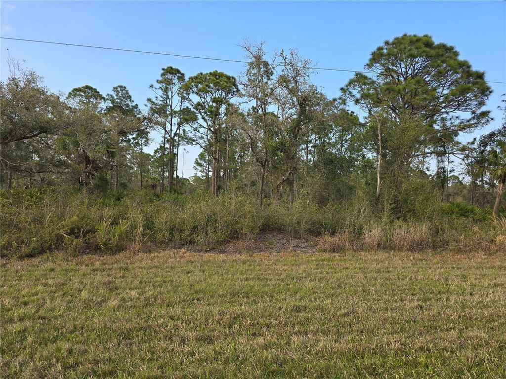 Photo of 844 Biscayne Drive, Port Charlotte, FL 33953 (MLS # C7506806)