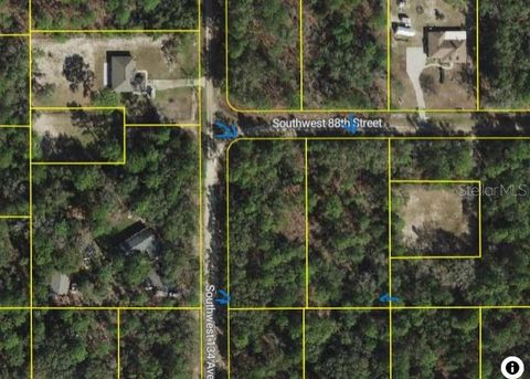SW 134 AVENUE DUNNELLON FL 34432