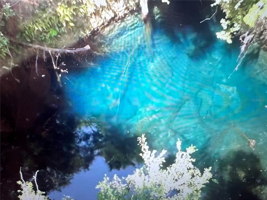 PRICE REDUCTION! If privacy, land, low taxes, a friendly climate, peace & quiet, hunting & fishing along with excellent proximity to prime educational and medical facilities are what you are looking for, then this 130-acre north central Florida property is calling your name! Only 20 minutes from I-75, this unique property features a spring formation, three scenic swimming and fishing lakes, plenty of woods for hunting deer, hogs & turkey, and a beautifully maintained homestead. Its exceptional location places it conveniently between Gainesville, the University of Florida, and the Ocala World Equestrian Center. The current land use consists of 30 acres of planted pine, 6 acres of horse pasture, 2.4 acres of homestead plus additional 5 acre building envelope, and the balance used for hunting and fishing. Surrounded by vast farming lands, the property offers an extraordinary setting, a recreational retreat for nature and hunting enthusiasts, and a retreat for devoted Gator fans. The restored 1905 home became the homestead in 1995 when it was moved to its current location from downtown Williston where it was reassembled, expanded, and customized. Founded by the present owner, the local newspaper operated temporarily out of the home's kitchen. The 3268 sq. ft. home, with open porch and wooden fence with enclosed raised garden area, faces an open meadow with adjacent shaded goldfish pond and outdoor relaxation area. The meadow perimeter includes a 20'X20' wooden tractor storage barn, 3 unused livestock shelters for goats, and a 4'X5' firewood shed. The property is irregular in shape, is protected by a conservation easement and may not be subdivided. Current boundary survey. PRICE IS FIRM. Furnishings are negotiable. Call us today for more details!