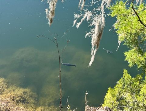 Tiny photo for Williston, FL 32696 (MLS # GC534430)