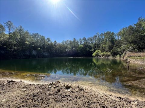 Tiny photo for Williston, FL 32696 (MLS # GC534430)