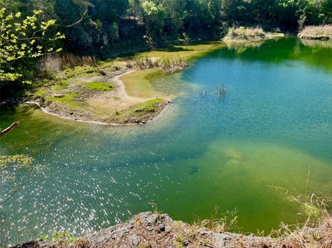 Tiny photo for Williston, FL 32696 (MLS # GC534430)