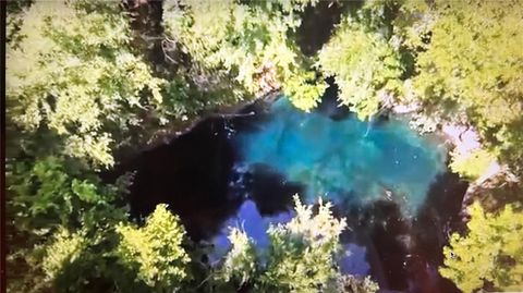 Tiny photo for Williston, FL 32696 (MLS # GC534430)