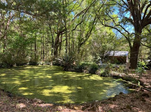 Tiny photo for Williston, FL 32696 (MLS # GC534430)