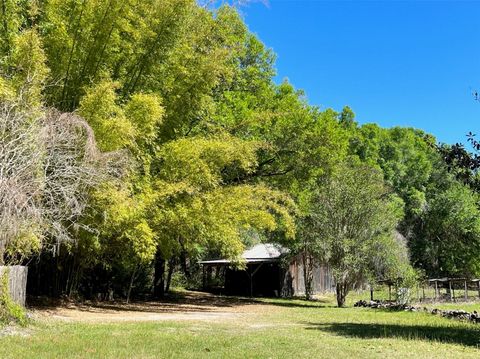 Tiny photo for Williston, FL 32696 (MLS # GC534430)