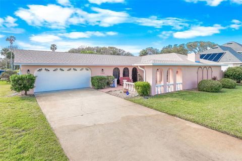 A home in PONCE INLET