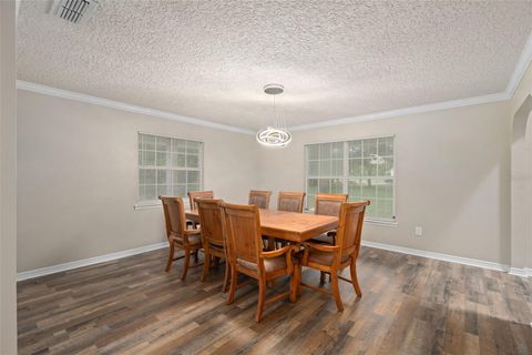 Tiny photo for 32122 Hickory Lane, Sorrento, FL 32776 (MLS # S5133541)