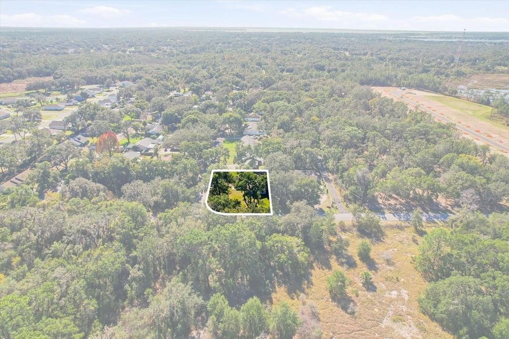Photo of 35003 Silver Oak Drive, Leesburg, FL 34788 (MLS # TB8455237)