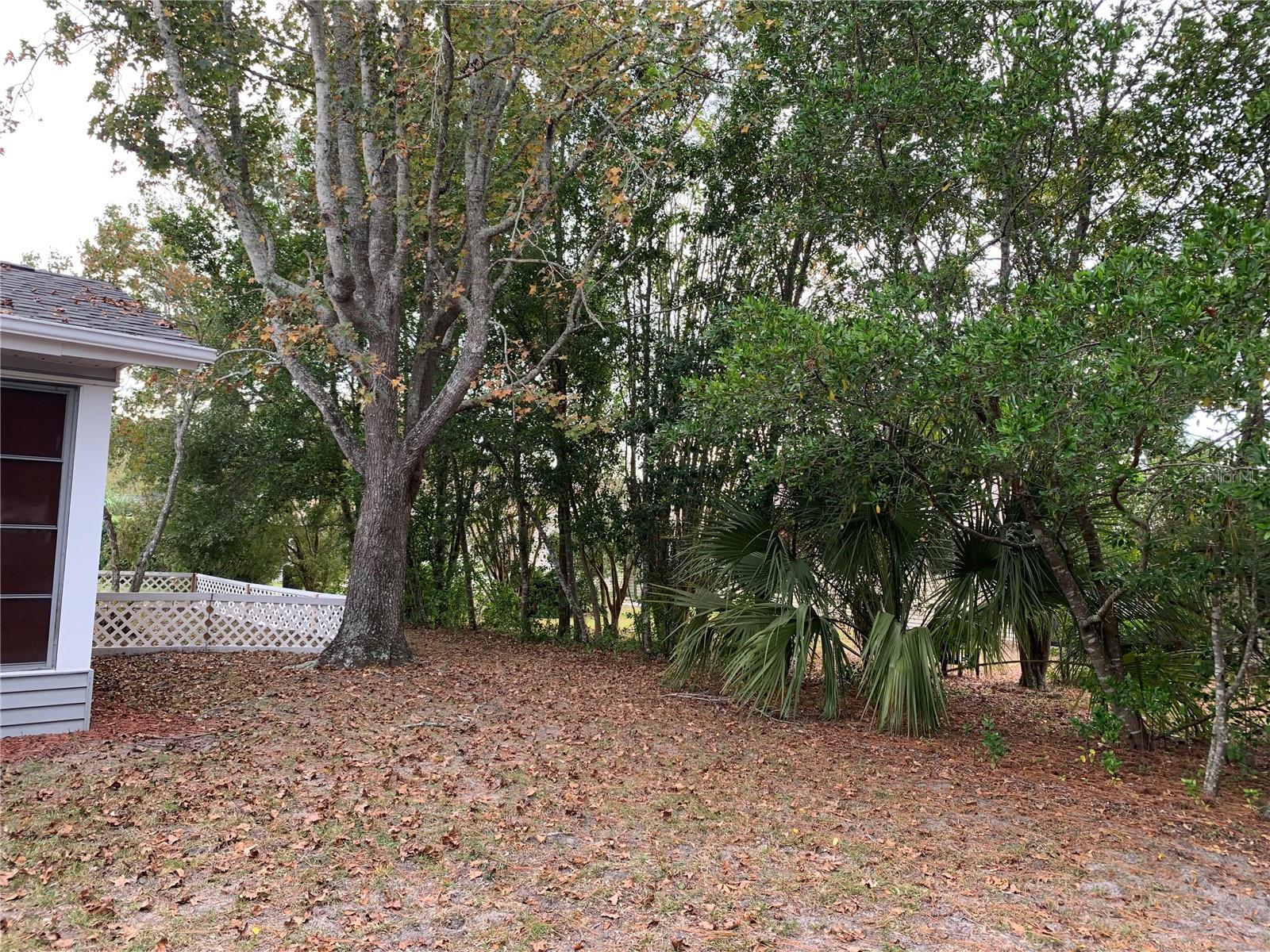 BELLEVIEW OAKS ESS - Residential