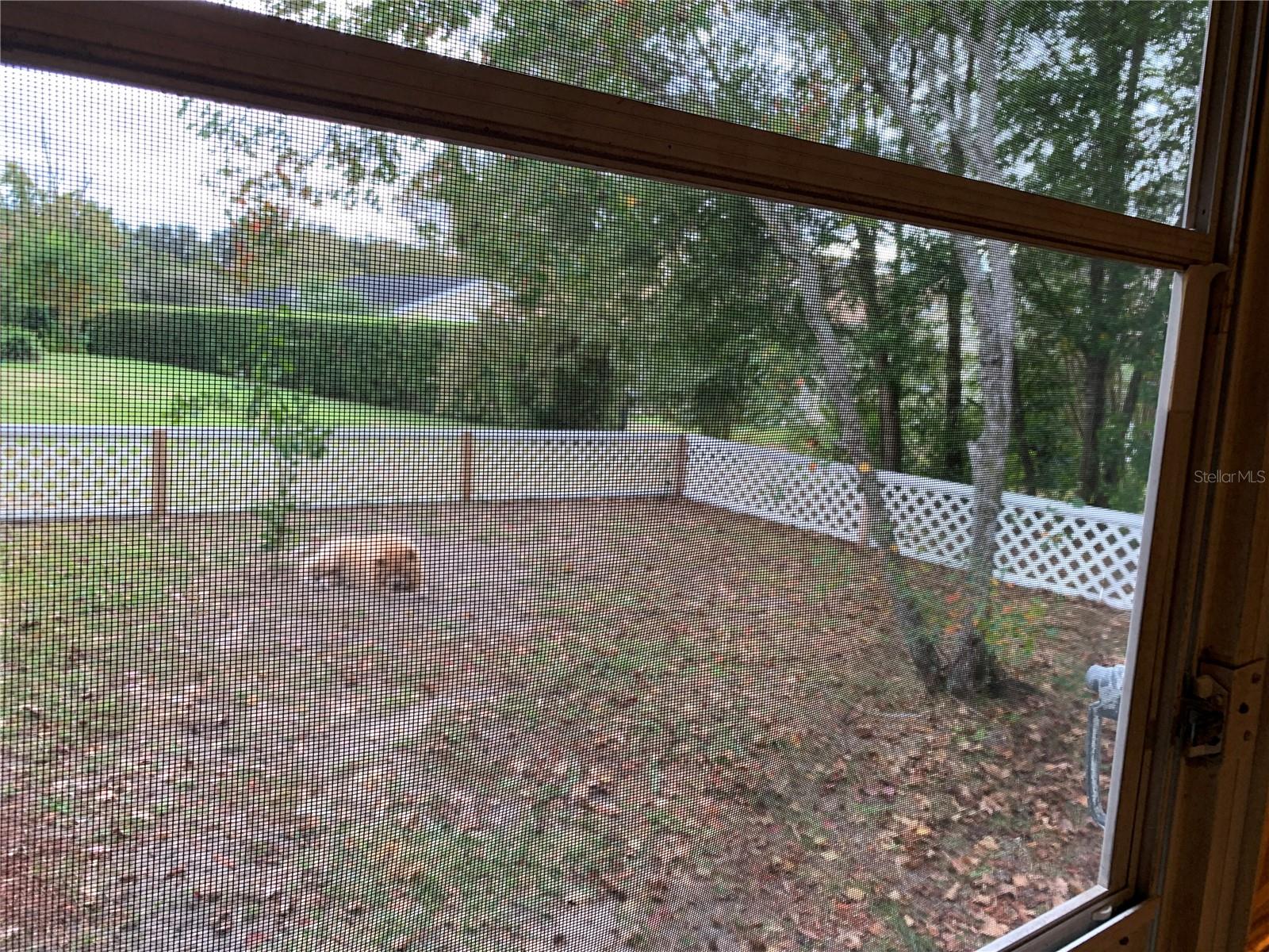 BELLEVIEW OAKS ESS - Residential