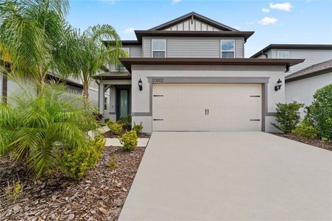 A home in LAND O LAKES