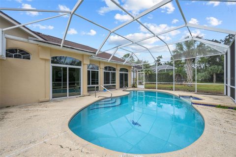 A home in PALM COAST