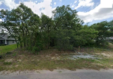 Photo of 14 Nemesia Court E, Homosassa, FL 34446 (MLS # A4695643)