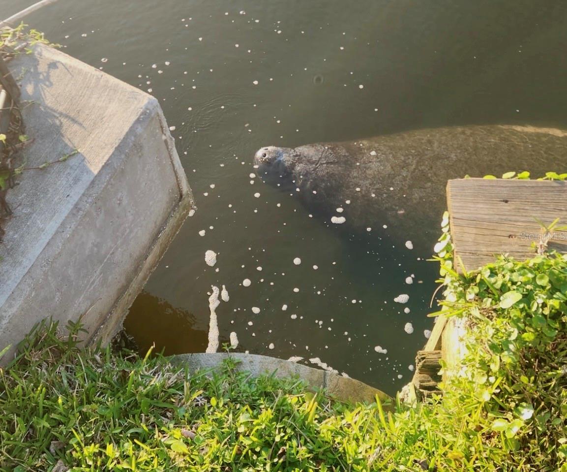 KEENE PARK - Residential