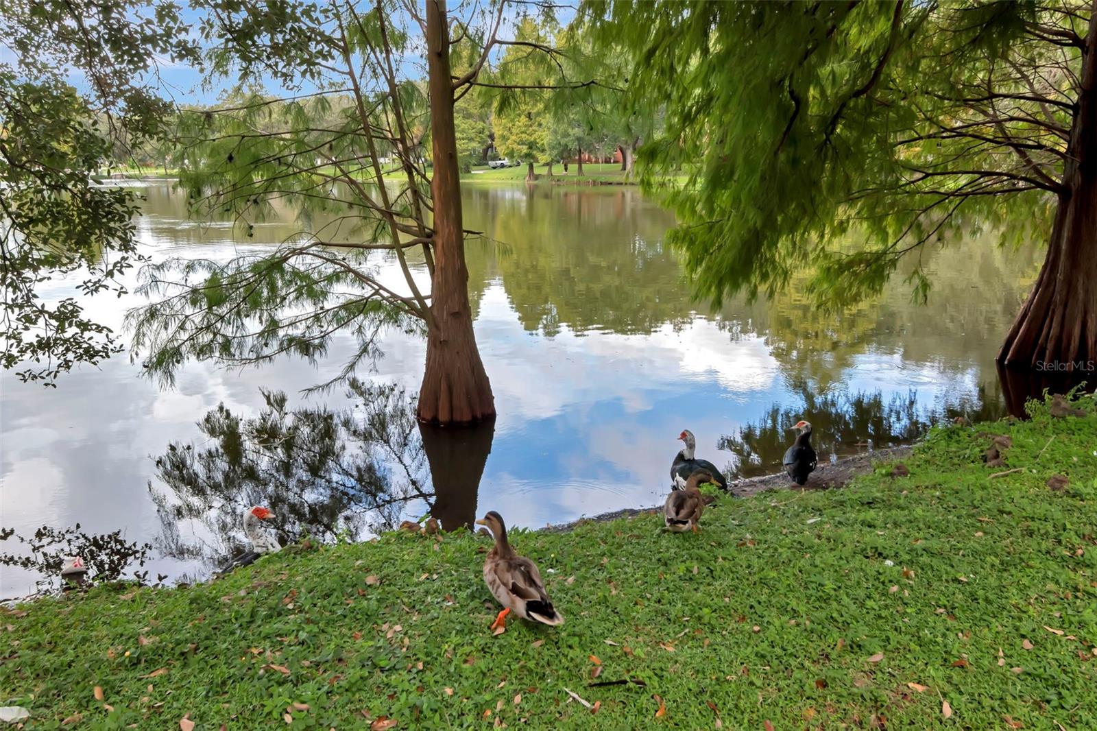 LAKEWOOD MANOR - Residential