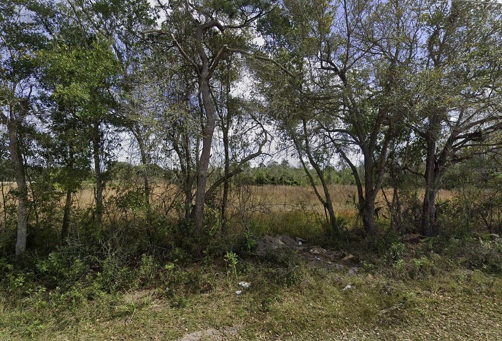 Photo of 0 Delaware Avenue, Saint Cloud, FL 34769 (MLS # O6209200)