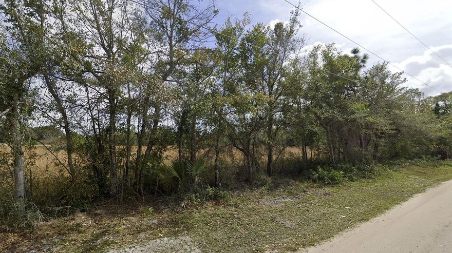 Located across the street from St. Cloud Middle School and two blocks from St. Cloud High School, this 4.57-acre lot is primely located with frontage along Delaware Ave. The current owner has preliminary site plans for 9 townhomes. From this location, you are five minutes from Downtown St. Cloud, the Lakefront Beach Park with lake access, a number of parks and outdoor recreation activities, and access to major highways in less than 15 minutes.