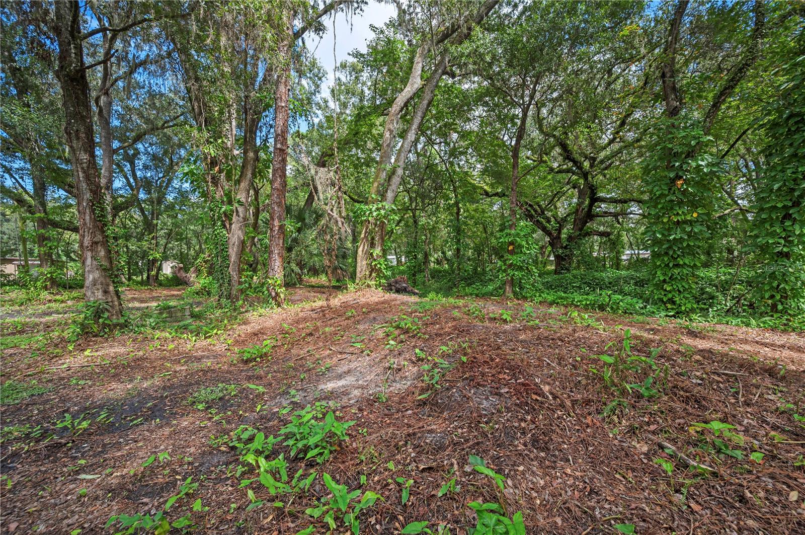 KOSSUTHVILLE - Residential