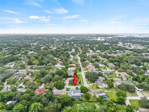 A home in PALM HARBOR