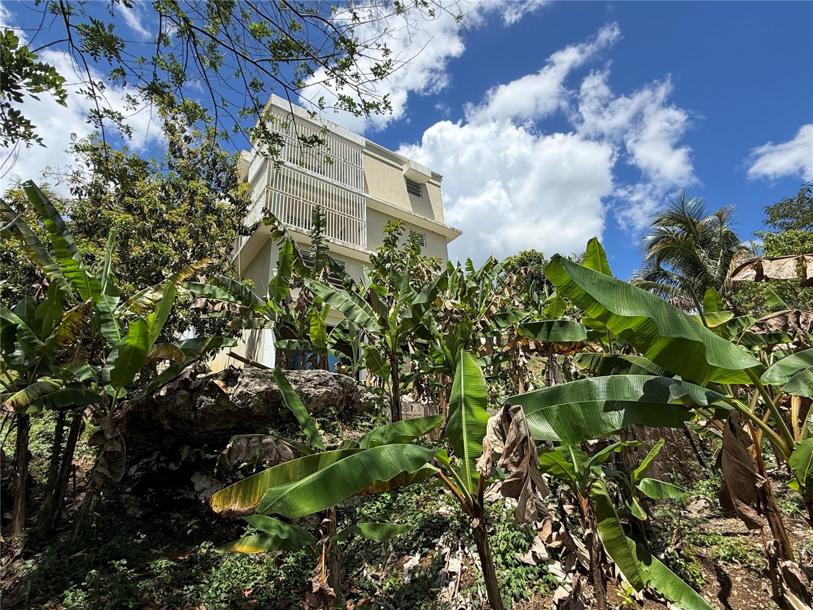 BO.ENEAS - Residential Income