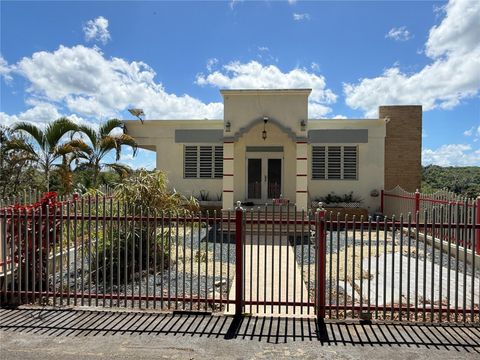 Carr. 111 Ramal 451 KM 0.2 SECT. JIMENEZ BO. ENEAS SAN SEBASTIAN  00685