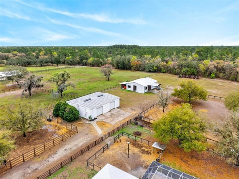 Tiny photo for 12650 SE 98th Lane, Dunnellon, FL 34431 (MLS # OM720989)