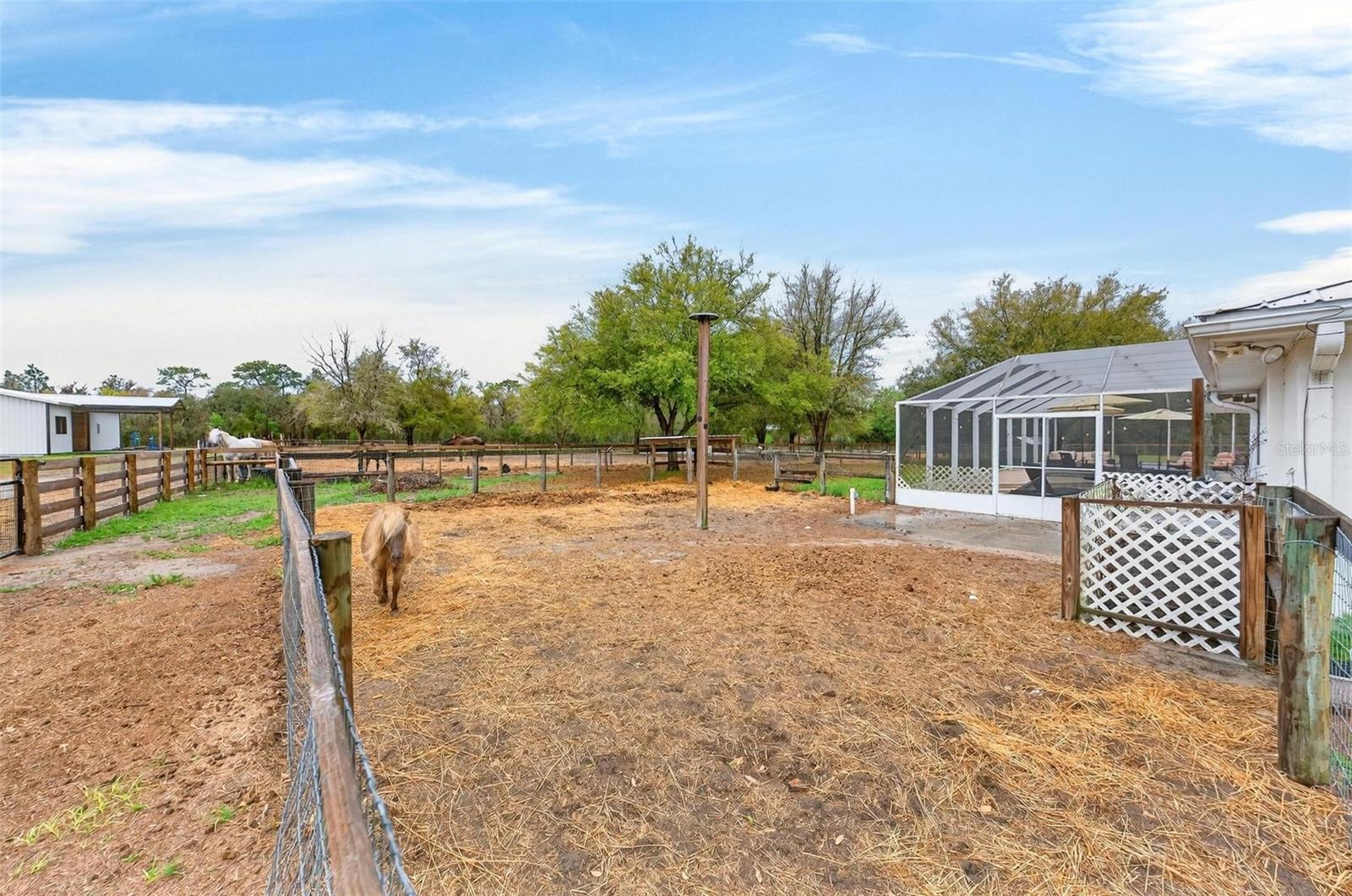 NORTH STAR RANCHETTES - Residential