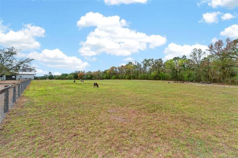 Tiny photo for 12650 SE 98th Lane, Dunnellon, FL 34431 (MLS # OM720989)