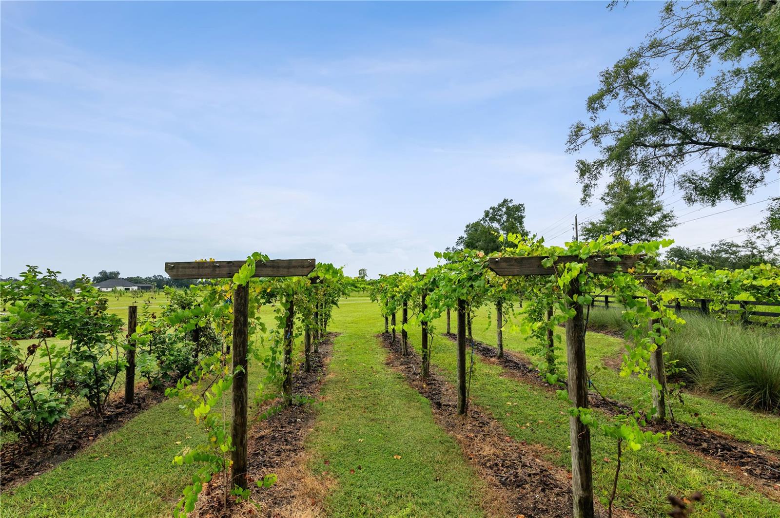 FLINT ROCK AGRIHOOD/THE PARKE - Land