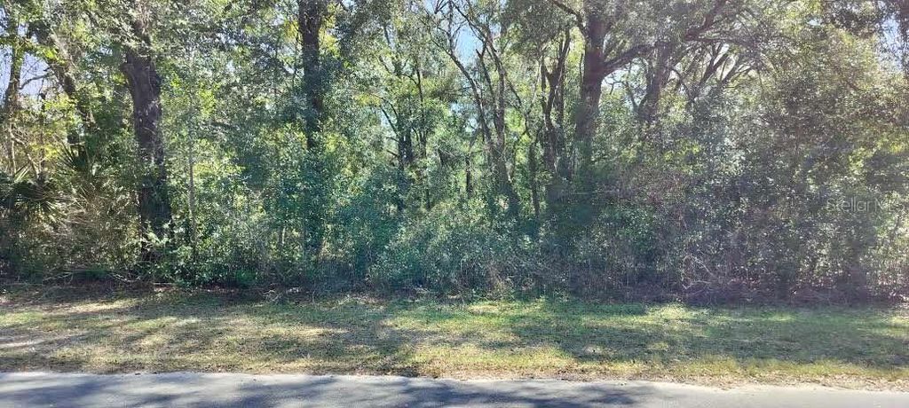 Photo of 517 S Savary Avenue, Inverness, FL 34453 (MLS # TB8354539)