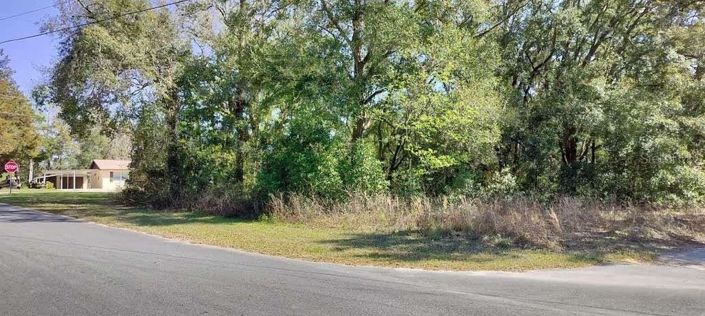 Photo of 517 S Savary Avenue, Inverness, FL 34453 (MLS # TB8354539)