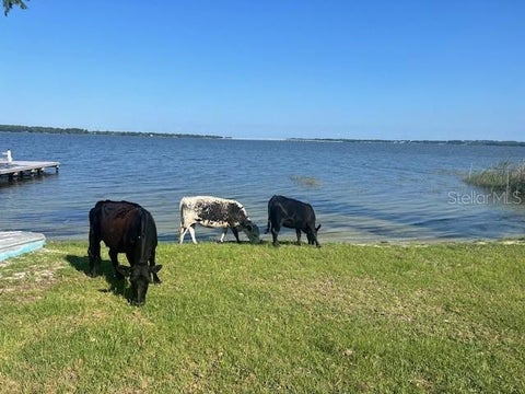 Tiny photo for 25800 Washington Street, Astatula, FL 34705 (MLS # O6414163)