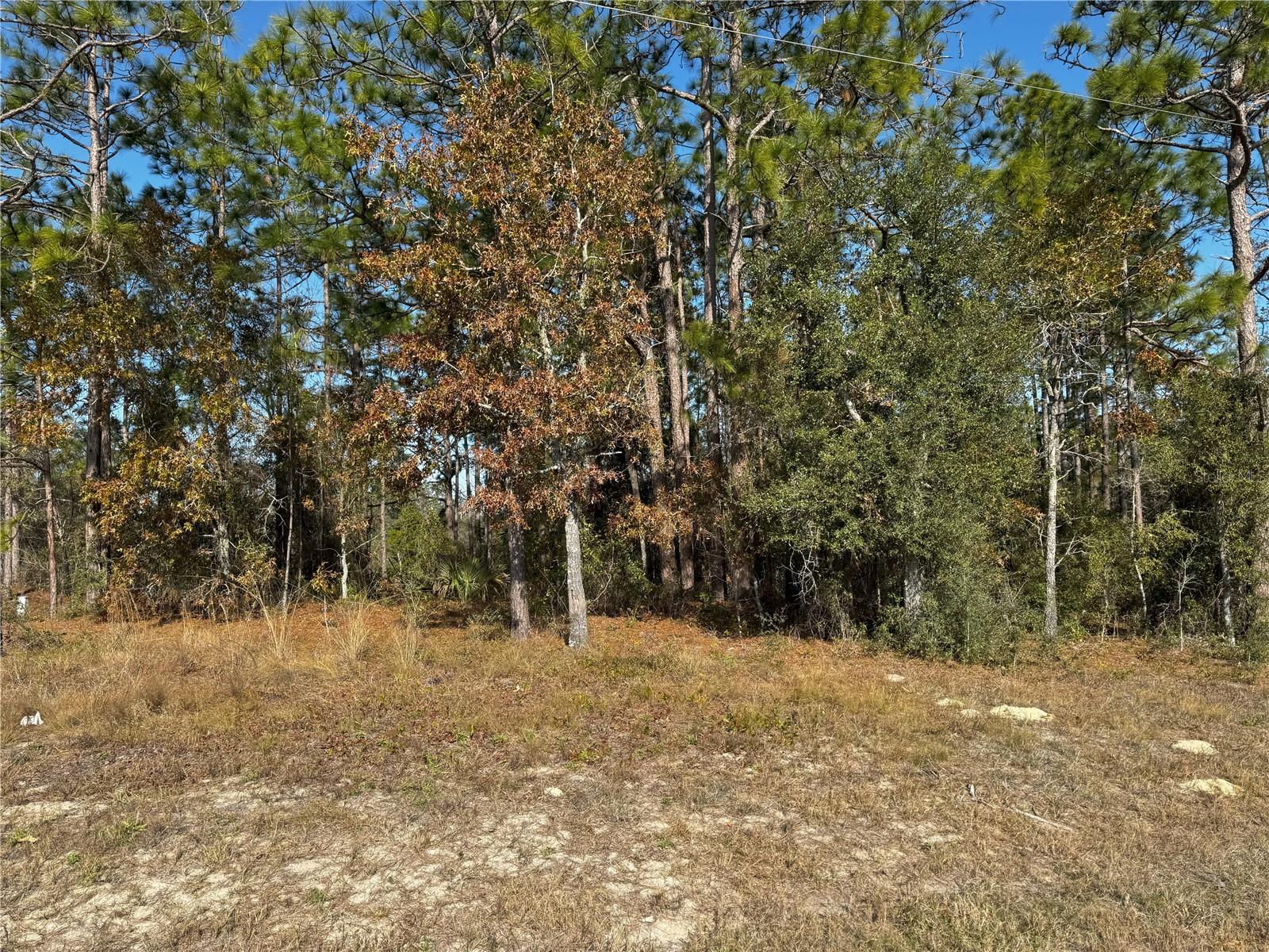 GOLDEN PARADISE - Land