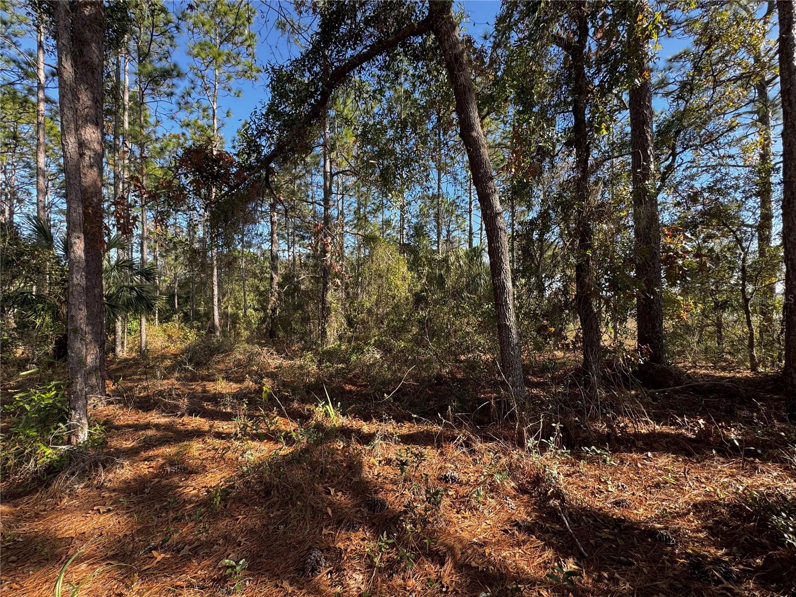 GOLDEN PARADISE - Land