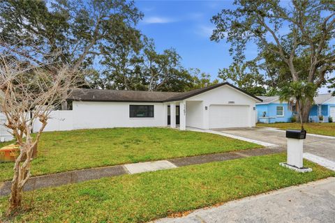 11491 60TH LANE N PINELLAS PARK FL 33782