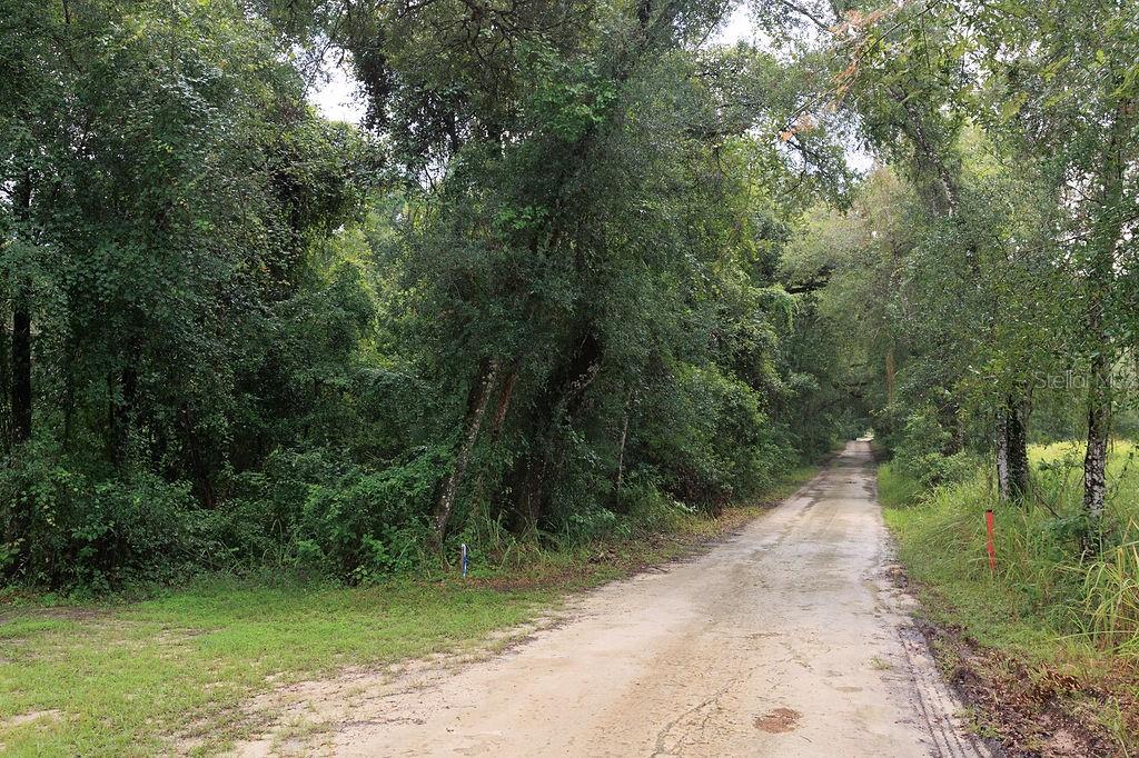 0 LUCILLES SHADY LANE