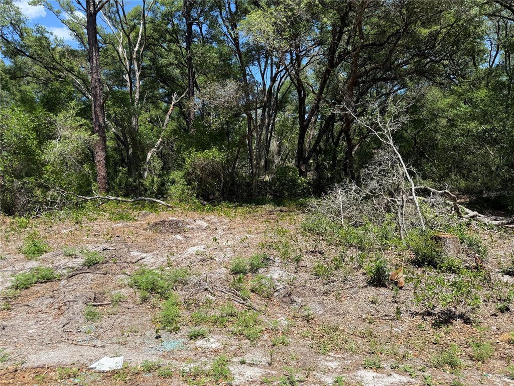 Photo of Fischer Lane Court, Ocklawaha, FL 32179 (MLS # OM723040)