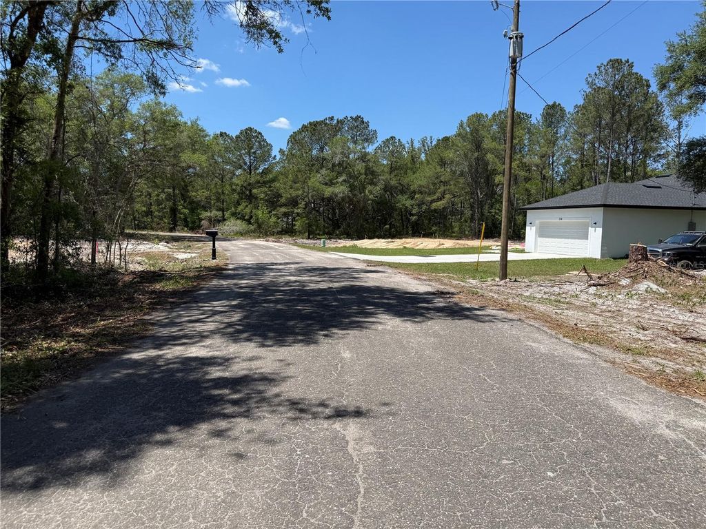 Photo of Fischer Lane Court, Ocklawaha, FL 32179 (MLS # OM723040)