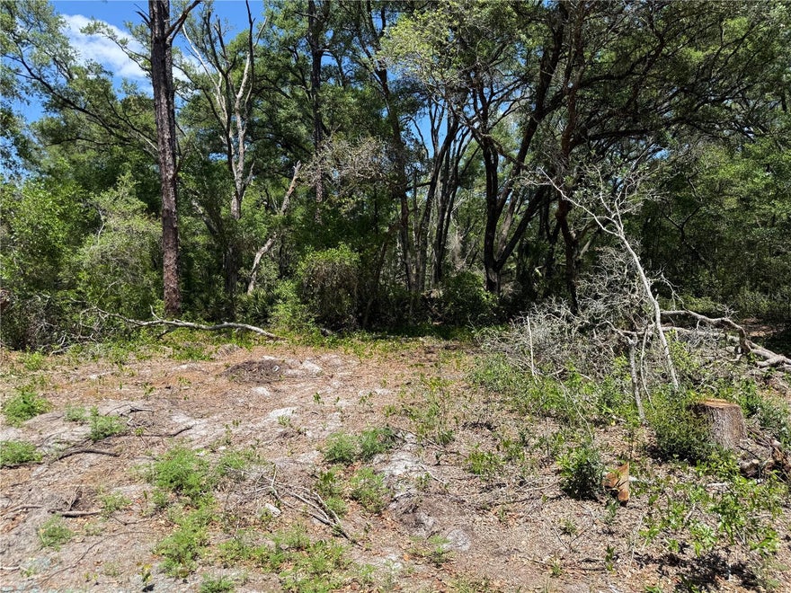 Great area with new homes to build your new home! Located with easy access to Belleview, The Villages and Ocala.