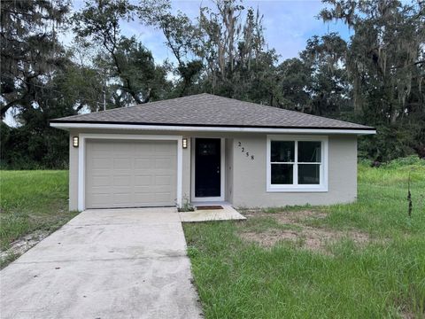 A home in LAKE PANASOFFKEE