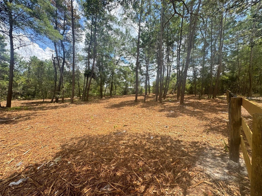 Photo of E Pine Street, Paisley, FL 32767 (MLS # G5113513)