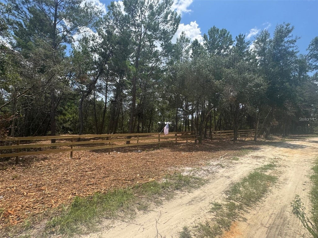 Photo of E Pine Street, Paisley, FL 32767 (MLS # G5113513)