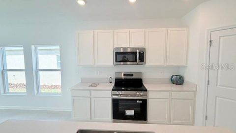Tiny photo for 287 Puma Loop, Groveland, FL 34736 (MLS # O6406725)