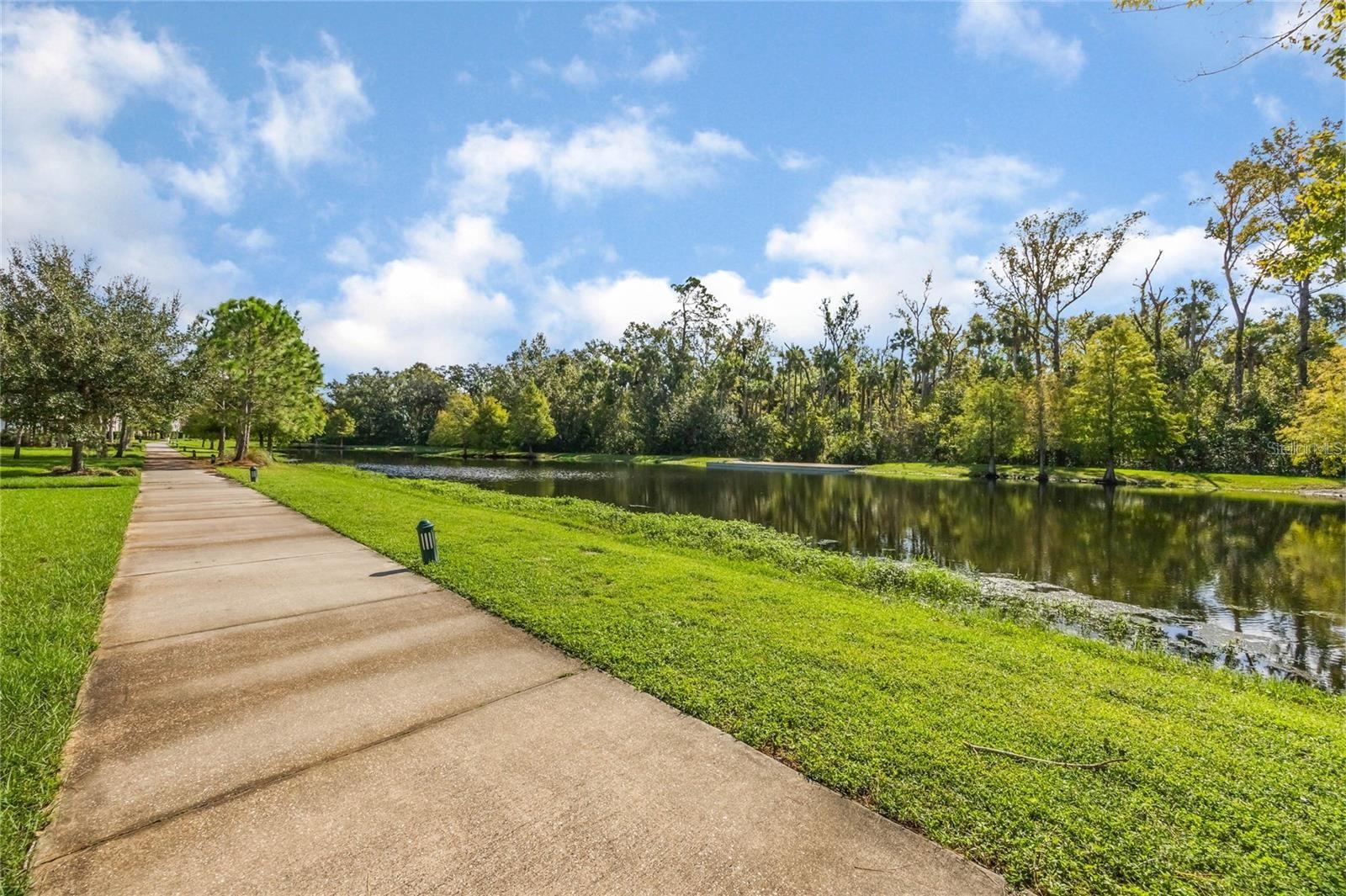 CELEBRATION SOUTH VILLAGE UNIT 4 REP 1 - Residential