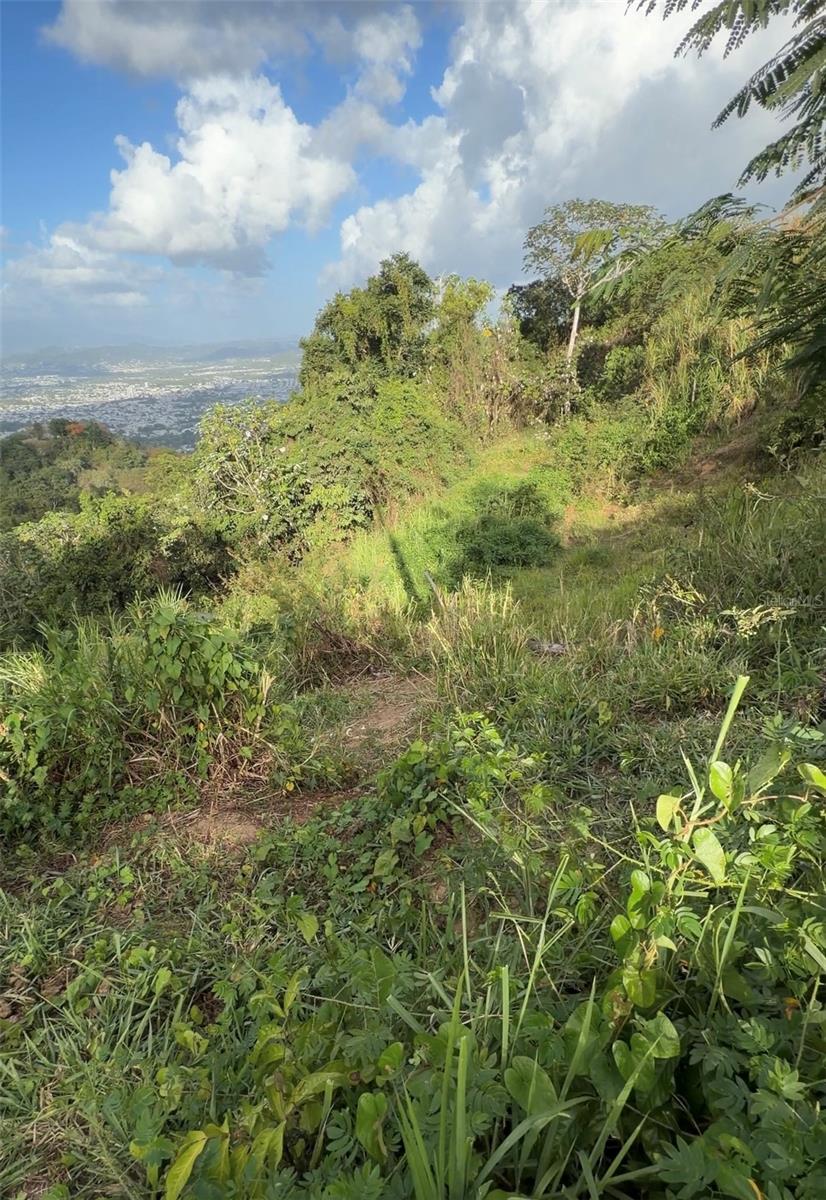 PR 785 KM 2.0 4